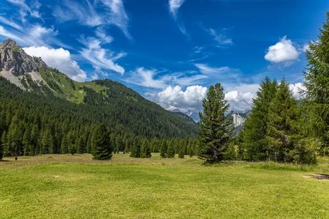 Amidst dense forests Stock Photos