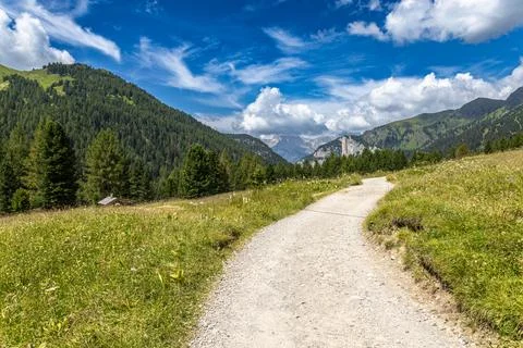 Amidst dense forests Foto stock