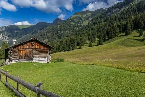Amidst dense forests Stock Photos