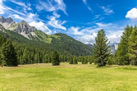 Amidst dense forests Stock Photos