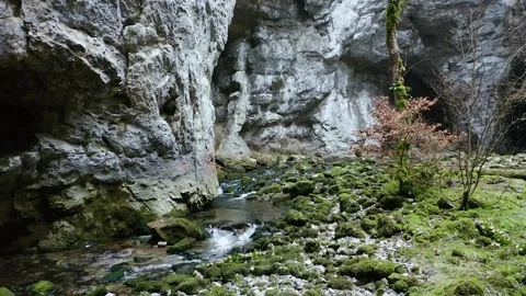 Amidst the rugged landscape, a tranquil stream winds through lush greenery Caves Stock Footage 259076187