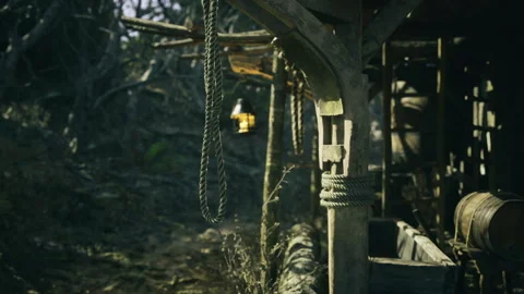 Amidst twisted trees and overgrown paths, a rustic structure stands Video stock 340353075