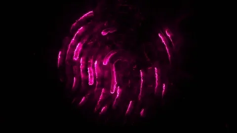 Amination of clorful fingerprint. Animation of appearance and disappearance of Stock Footage