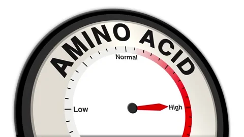 Amino Acid Text or Word Level Low Normal High - Barometer or Tachometer Stock Footage 308334089