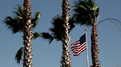 Amirican flag &amp; Palm trees Stock Footage 59876845
