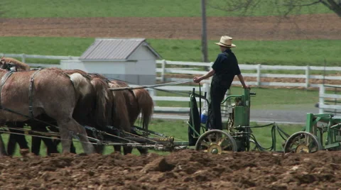 Amish boy plowing 3 Stock Footage 49535909
