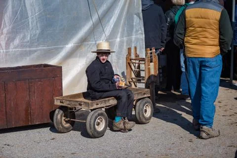 Amish Boy with Wagon Stock Photos