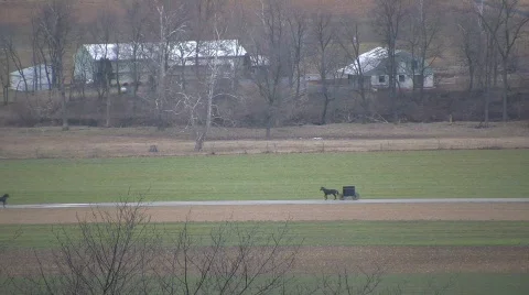 Amish buggies passing Stock Footage 690008