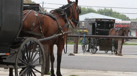 Amish buggies tied to the hitching post waiting Stock Footage 8777350