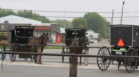 Amish buggies wait at a hitching post Stock Footage 8777328