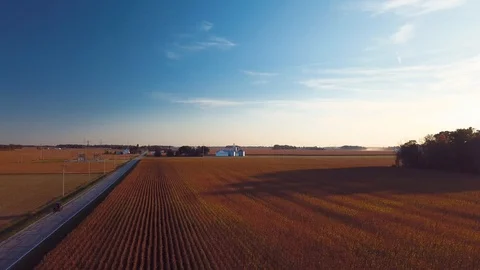 Amish Buggy Coming Down Road Stock Footage 86183866