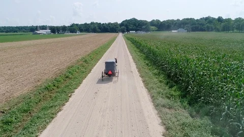 Amish Buggy with Dust Video stock 96940125