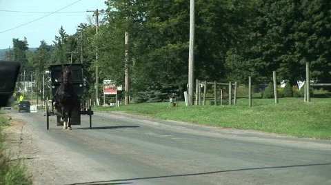Amish Buggy Stock Footage 755439