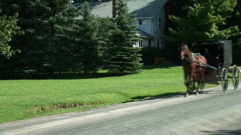 Amish Buggy Stock Footage 755441
