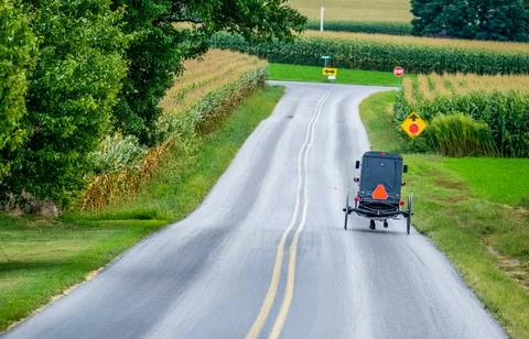 Amish Buggy Going Down Road in Rural Pennsylvania Foto stock