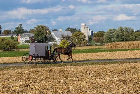 Amish Buggy Going Down Road in Rural Pennsylvania Foto stock