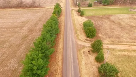 Amish Buggy on road 库存影片 75005448