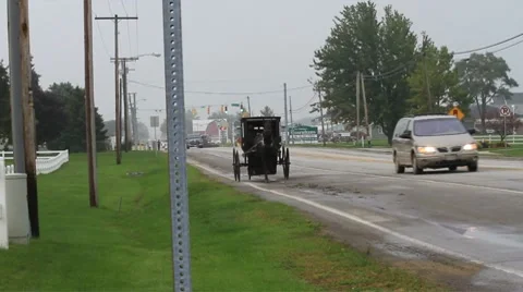 Amish buggy trots by Stock Footage 8777313