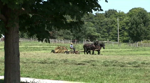 Amish Farm Stock Footage 755432