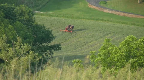 Amish farmer in field Stock Footage 24635653