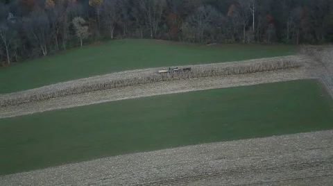 Amish Farmer 스톡 동영상 611482