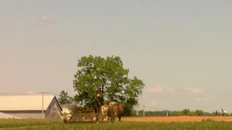 Amish Farmer on Plow Stock Footage 11016837