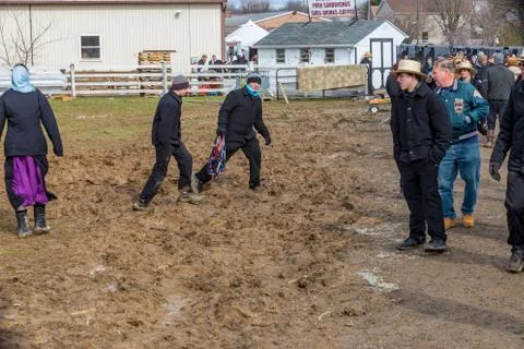 Amish Going Through Mud Stock Photos