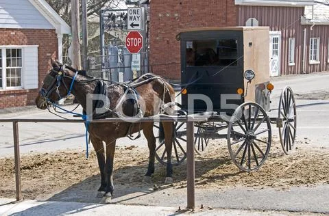 Amish horse and buggy hitched to a post in a modern community Stock Photos