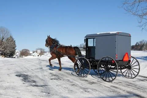 Amish horse and carriage Stock Photos