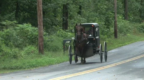 Amish Horse Buggy Stock Footage