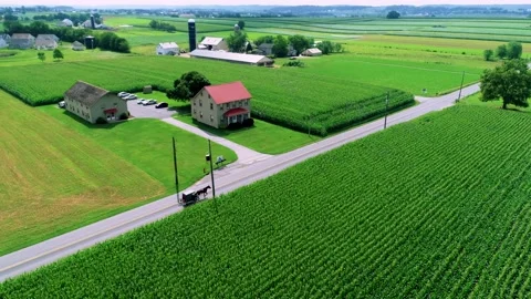Amish Horse &amp; Buggy Stock Footage 138962397