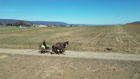 Amish Plow Trim Stock Footage 236592639