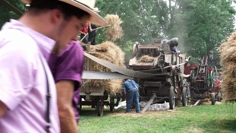 Amish Threshing Wheat 스톡 동영상 115469867