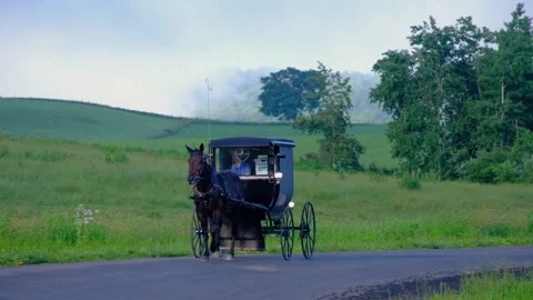 An Amish wagon Stock Footage 169755528
