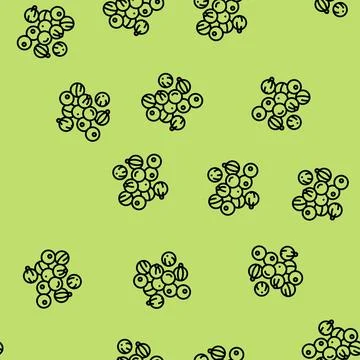Amla ayurvedic herb vector seamless pattern Stock Illustration