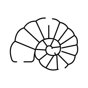Ammonite fossil shell illustration representing paleontology and geology Stock Illustration