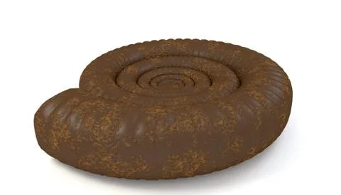 Ammonite seashell isolated Stock Illustration