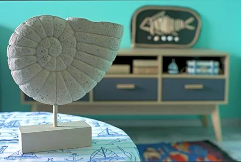 Ammonite shell on table in room decorated in marine style Stock Photos