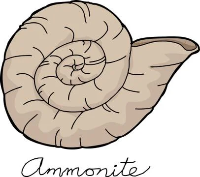 Ammonite shellfish fossil Stock Illustration