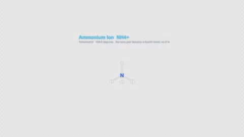 Ammonium Ion NH4+ Lewis Structure Animation Labeled Alpha 4K Stock Footage 339311160