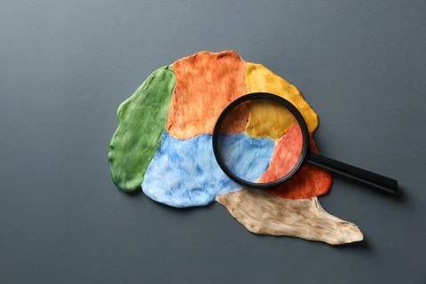 Amnesia problem. Brain with sections and magnifying glass on grey backgroun.. Stock Photos