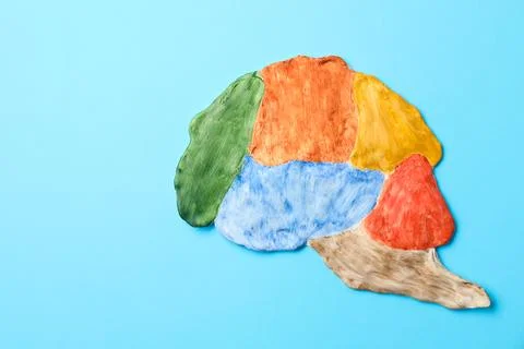 Amnesia problem. Brain with sections on light blue background, top view. Sp.. 库存照片