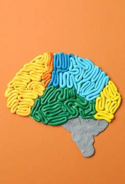 Amnesia problem. Brain with sections made of plasticine on orange backgroun.. Stock Photos