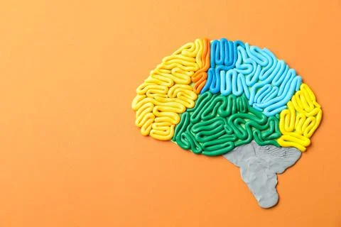 Amnesia problem. Brain with sections made of plasticine on orange backgroun.. Stock Photos