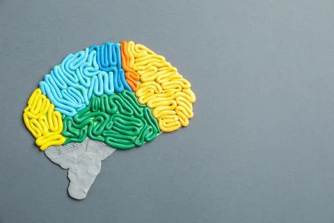 Amnesia problem. Brain with sections made of plasticine on grey background,.. 스톡 사진