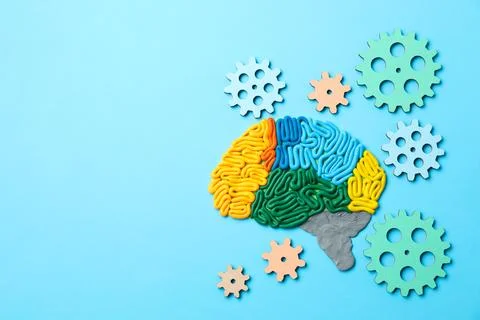 Amnesia problem. Brain with sections made of plasticine and gears on light .. Stock Photos