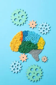 Amnesia problem. Brain with sections made of plasticine and gears on light .. Stock Photos