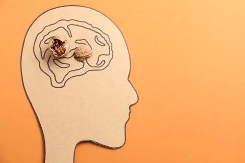 Amnesia problem. Paper cutout of human head, brain drawing and broken walnu.. Stockfoto's
