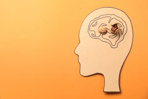 Amnesia problem. Paper cutout of human head, brain drawing and broken walnu.. 스톡 사진