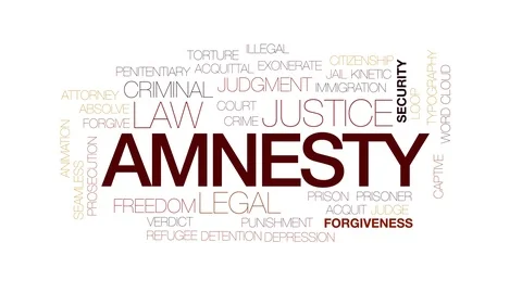 Amnesty animated word cloud. Kinetic typography. Stock Footage 111957799